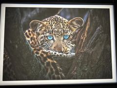 -罗红摄影艺术馆