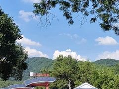 -九龙江国家森林公园