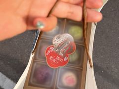 -好一朵茉莉花(老门东店)