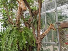 -北京植物园-展览温室