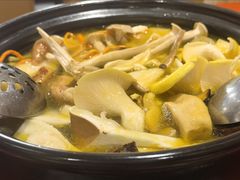 -菌之家·专业纯野生菌火锅·特色炒菌