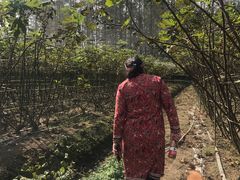 -武汉世外桃源农庄