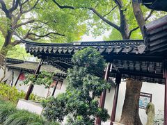 -上海醉白池公园