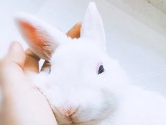 -美迦爱-牙专科·兔科·骨科诊疗中心(北苑店)