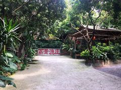 环境-荔景渔庄