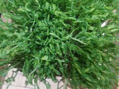 -千牛将·鲜牛肉火锅(开元路店)