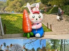 -杭州少年儿童公园