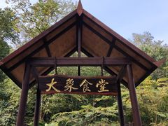 -野象谷景区