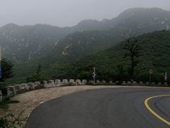 -大岭沟猕猴桃谷风景区