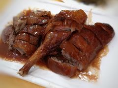 -姚林轩