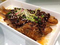-洋洋中餐馆·SINCE 1997(信投店)