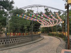 -大槐树寻根祭祖园