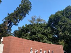 -晓港公园