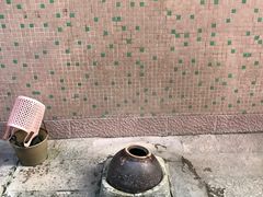 -小洲村