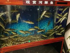 -肆月河豚·新淮扬(金融街店)