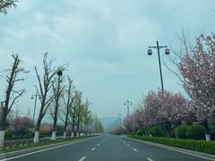 -晋祠公园