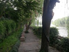 -运河游船(武林门码头)