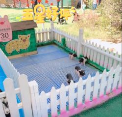 -萌宠亲子动物乐园(槐房万达店)