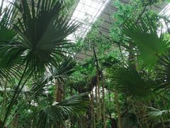 -沈阳龙润夏宫温泉水乐园