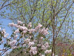 -兴业银行(北京经济技术开发区支行)