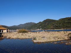 -腾冲北海湿地