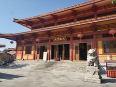 -三水森林公园