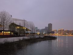 -金沙湖公园