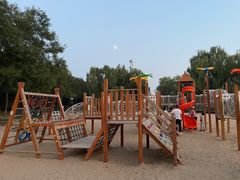 -大兴滨河森林公园