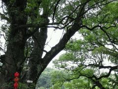 android_upload_pic-千岛湖龙川湾