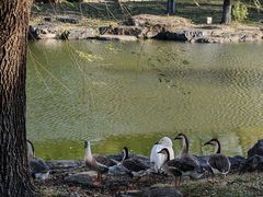 -北京宽沟会议中心