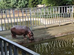-东莞香市动物园