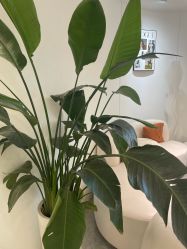 -Dr.Jane皮肤管理中心