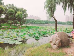 -后襄河公园