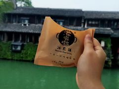 -乌镇西栅景区