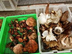 -佳缘野生菌食府