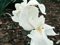 -上海植物园-4号门售票处