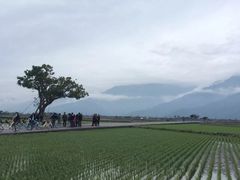 -瑞穗牧场