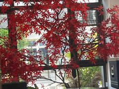 -西山人家·传统苏帮菜·家宴(木渎店)
