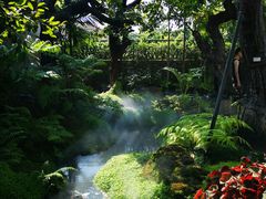 -Chom Cafe and Restaurant