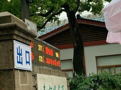 -嘉定紫藤园