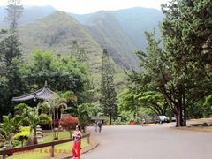 -紫颐香薰山谷景区