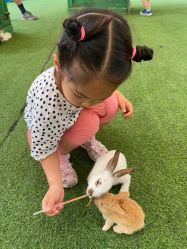 -萌宠亲子动物乐园(槐房万达店)