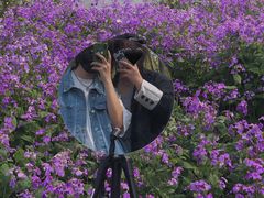 -滨湖塘西河公园