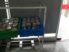 -来噻布布 Lets BUBU