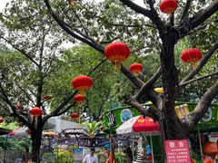 -顺德大良半月城游乐场