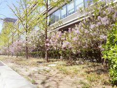 -白纸坊建功北里百姓生活服务中心·佳果多生鲜超市