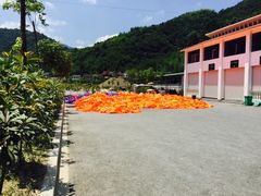 -雅鲁激流探险漂流