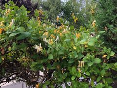 -金石唐风国际温泉会馆