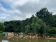 -宁波野生动物园