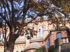 -上海佘山国家森林公园天马山园